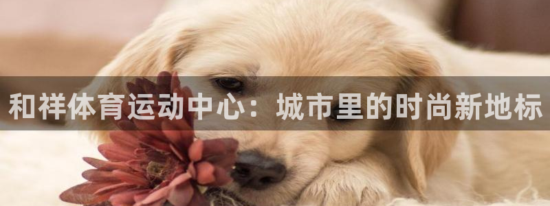 必发官网下载招商电话地址查询