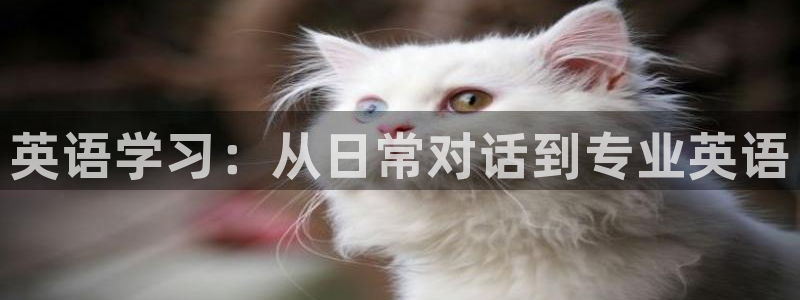必发官网下载联系电话：英语学习：从日常对话到专业英语