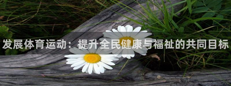必发官网下载官方客服电话：发展体育运动：提升全民健康与福祉的