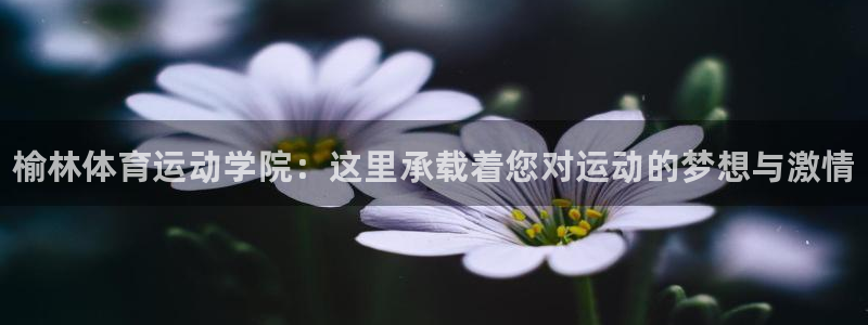必发官网下载招商电话号码是多少：榆林体育运动学院：这