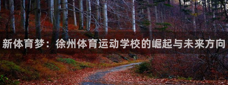 必发官网下载招商电话是多少啊：新体育梦：徐州体育运动