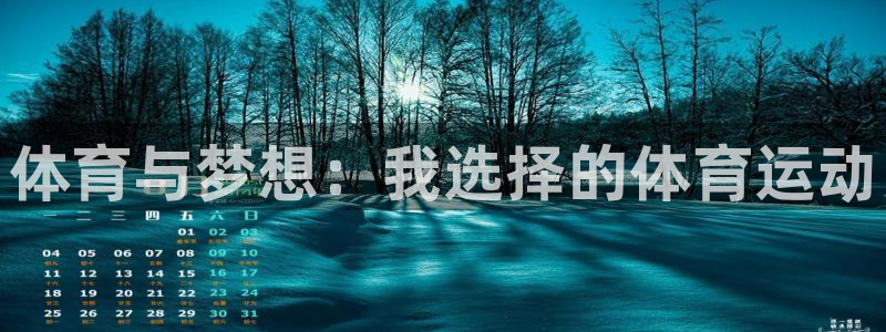 必发官网下载是干嘛的公司：体育与梦想：我选择的体育运