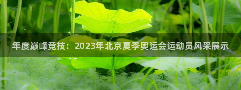 必发官方正版app集团官网首页：年度巅峰竞技：202