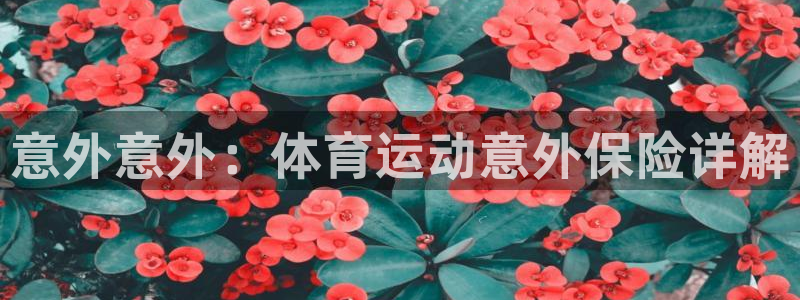 必发官网下载平台注册要钱吗安全吗：意外意外：体育运动