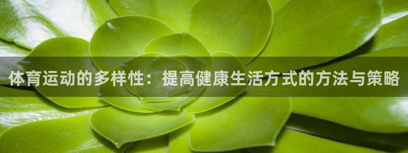必发官网下载软件：体育运动的多样性：提高健康生活方式的方法与