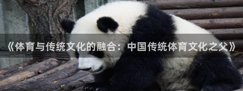 必发官方正版app娱乐网站：《体育与传统文化的融合：中国传统
