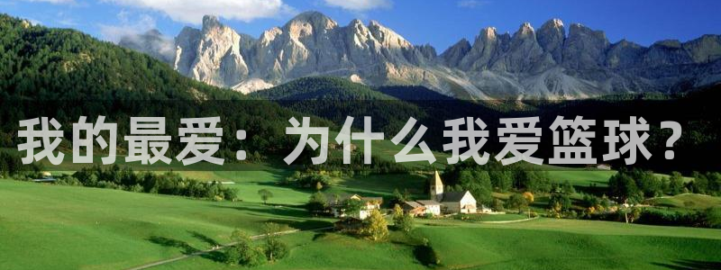 必发官方正版app集团简介：我的最爱：为什么我爱篮球？