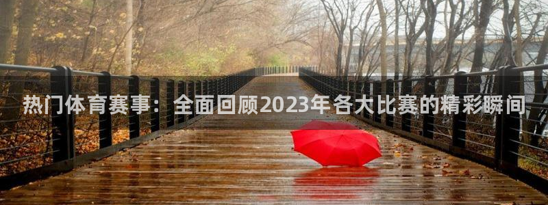 必发官方正版app官方：热门体育赛事：全面回顾202