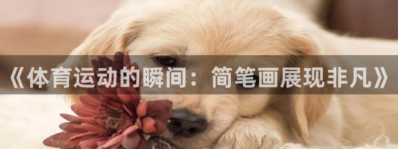 必发官网下载招商电话是多少啊：《体育运动的瞬间：简笔