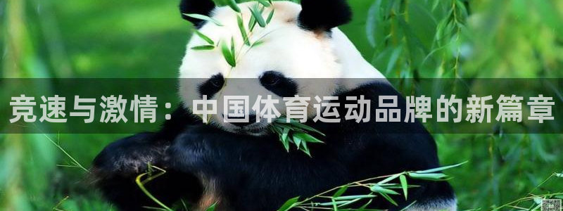 必发官网下载招商