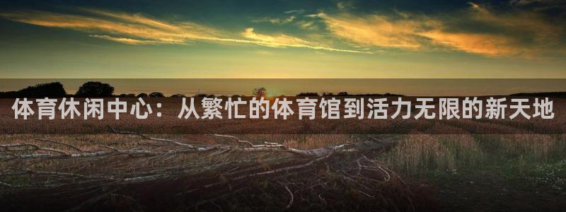 必发官方正版app科技：体育休闲中心：从繁忙的体育馆到活力无