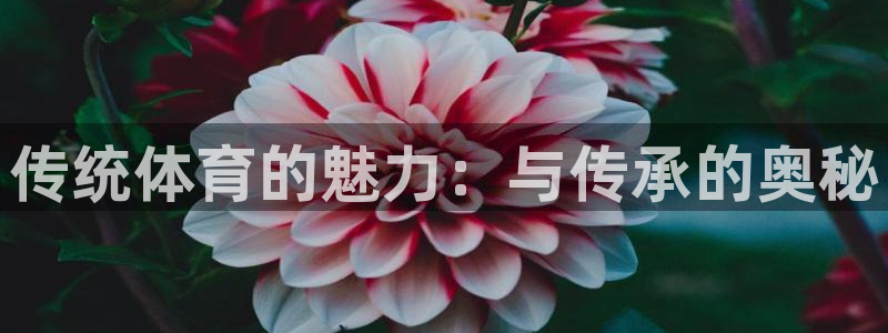 必发官方正版app集团官网网址：传统体育的魅力：与传承的奥秘