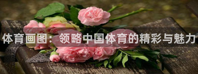 德国必发官方正版app集团