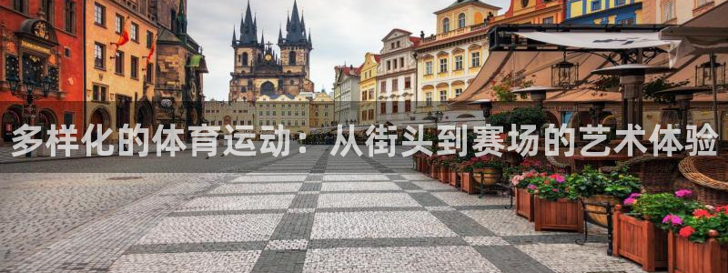 必发官方正版app集团E.ON