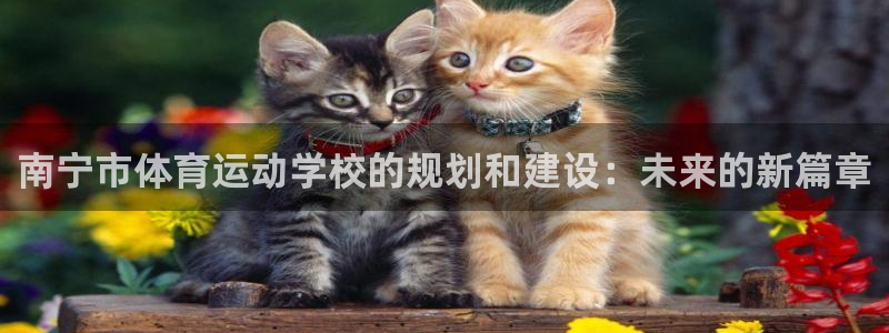 必发官网下载招商电话号码是多少啊：南宁市体育运动学校的规划和