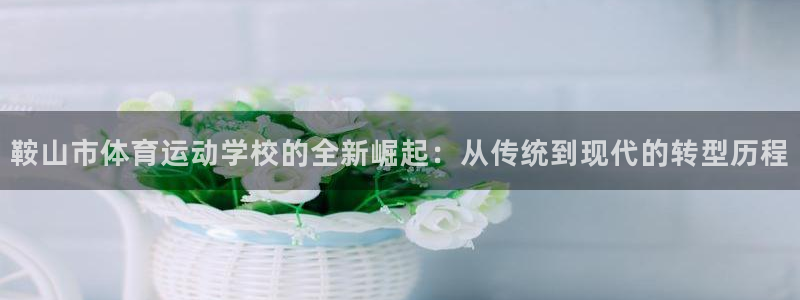 注册必发官方正版app：鞍山市体育运动学校的全新崛起：从传统