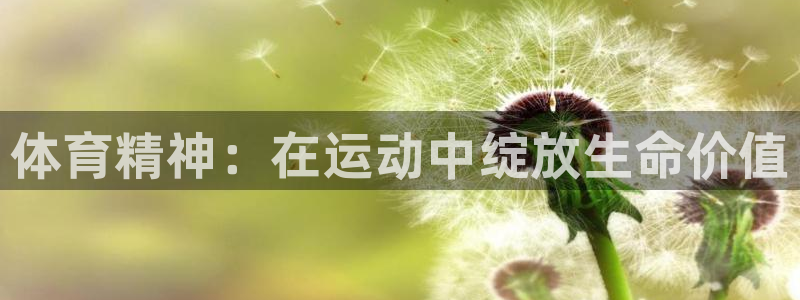 必发官网下载招商电话地址查询：体育精神：在运动中绽放生命价值