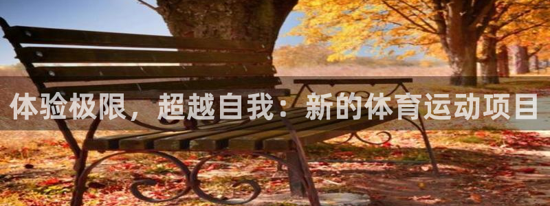 必发官网下载平台注册要钱吗安全吗：体验极限，超越自我：新的体