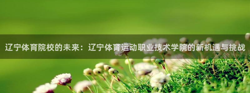 必发官方正版app集团官网首页：辽宁体育院校的未来：辽宁体育