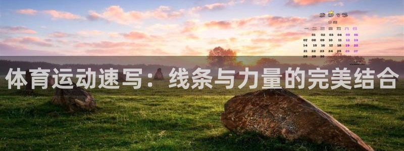 必发官方正版app集团官网网址：体育运动速写：线条与力量的完