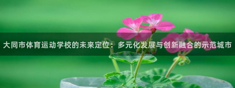 必发官网下载平台注册要钱吗：大同市体育运动学校的未来