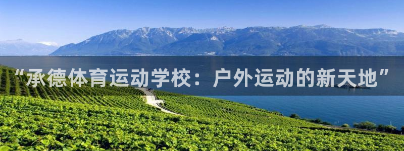 必发官方正版app集团E.ON