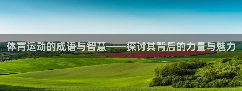 必发官网下载招商电话地址：体育运动的成语与智慧——探