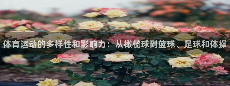 必发官方集团官网：体育运动的多样性和影响力：从橄榄球