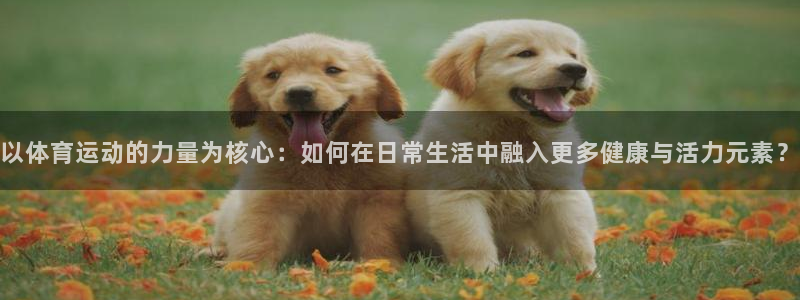 必发官方正版app神州：以体育运动的力量为核心：如何在日常生